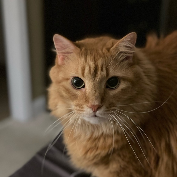 9/24 Jewelry Shown As Is In Live Show - Picture 1 of 3